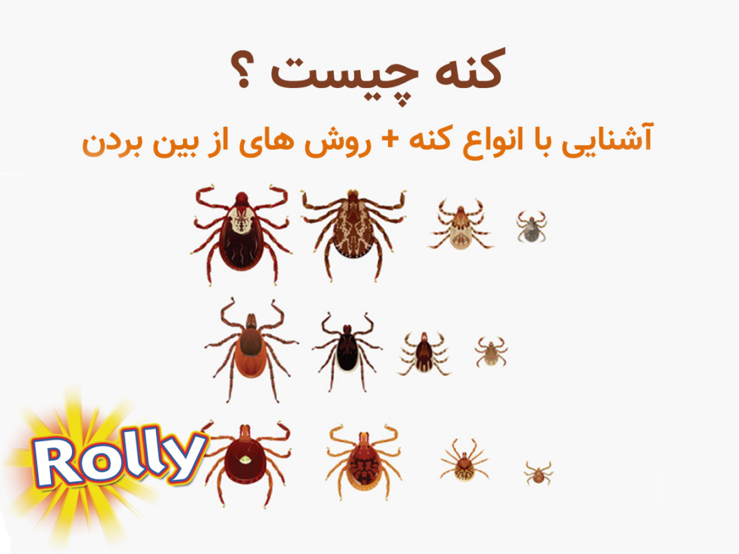 انواع کنه سگ