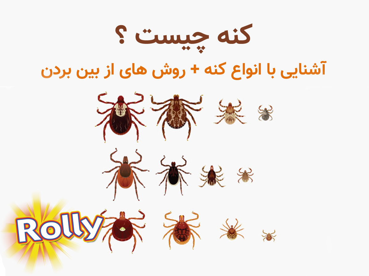 انواع کنه سگ
