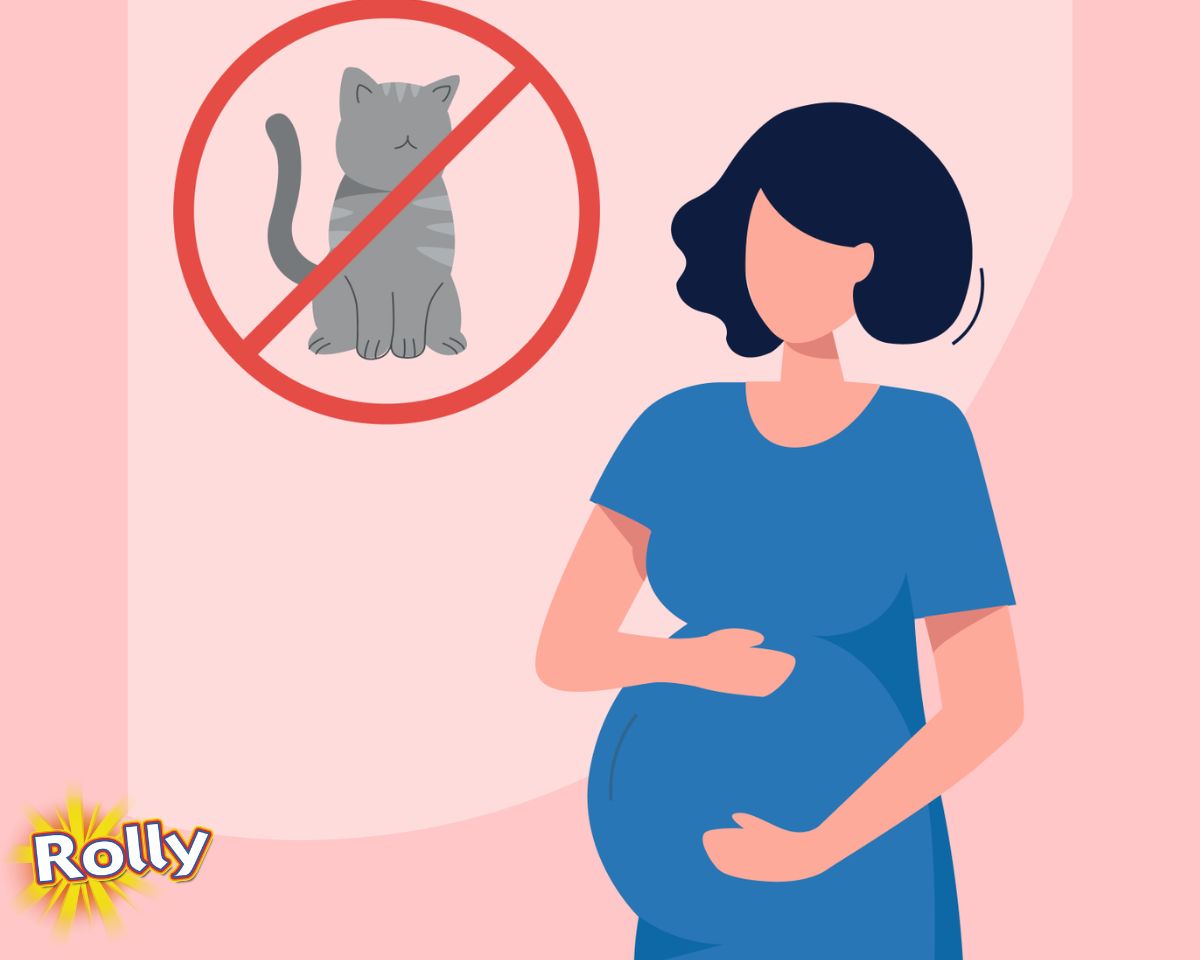ارتباط موی گربه و نازایی